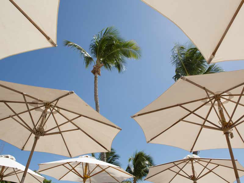 location parasol mariage